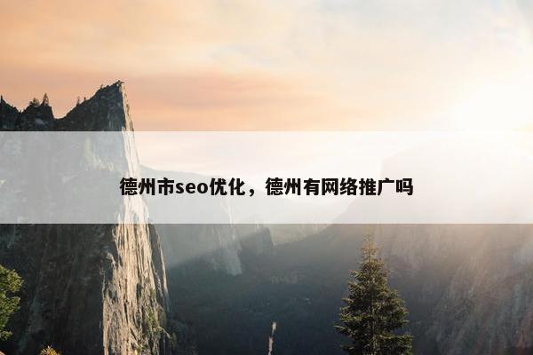 德州市seo优化，德州有网络推广吗