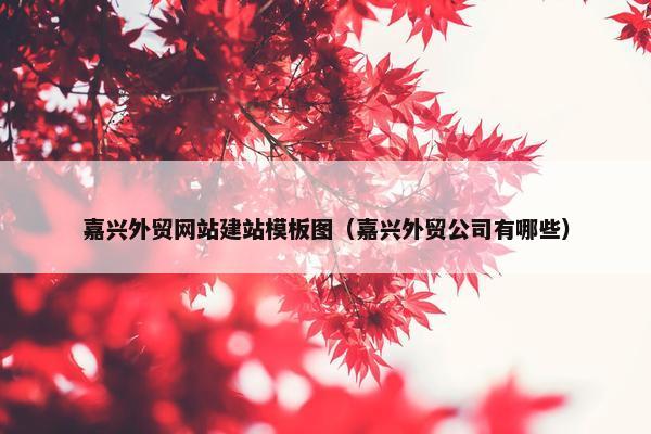 嘉兴外贸网站建站模板图（嘉兴外贸公司有哪些）