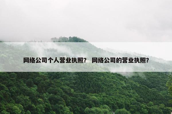 网络公司个人营业执照？ 网络公司的营业执照？