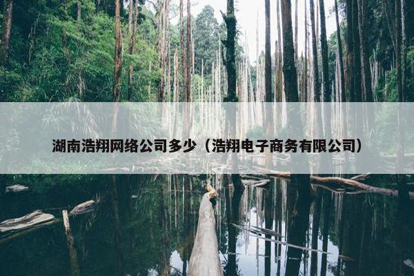 湖南浩翔网络公司多少（浩翔电子商务有限公司）
