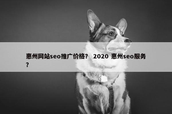 惠州网站seo推广价格？ 2020 惠州seo服务？
