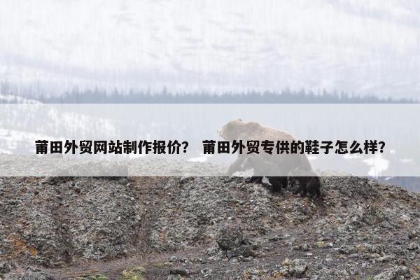 莆田外贸网站制作报价？ 莆田外贸专供的鞋子怎么样？