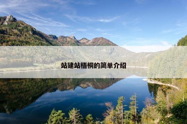 站建站梧桐的简单介绍