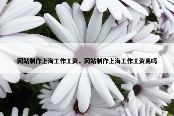 网站制作上海工作工资，网站制作上海工作工资高吗