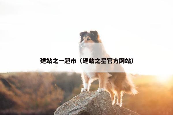 建站之一超市（建站之星官方网站）