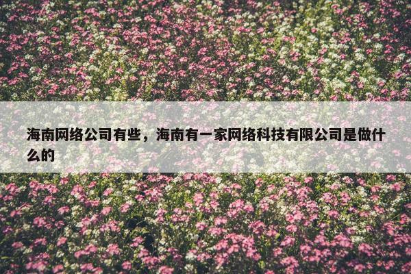 海南网络公司有些，海南有一家网络科技有限公司是做什么的