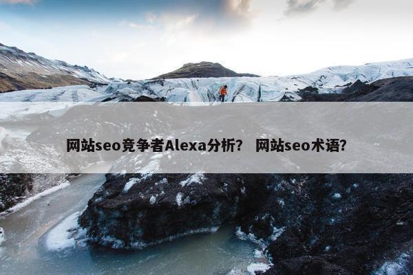 网站seo竞争者Alexa分析？ 网站seo术语？