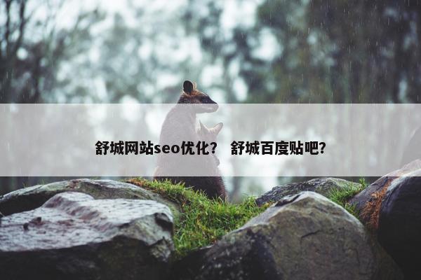 舒城网站seo优化？ 舒城百度贴吧？