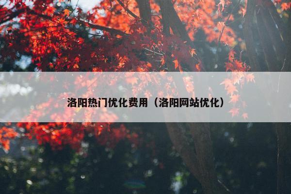 洛阳热门优化费用（洛阳网站优化）