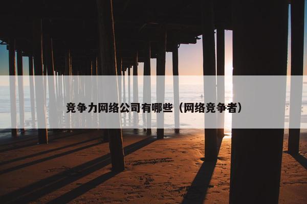 竞争力网络公司有哪些（网络竞争者）