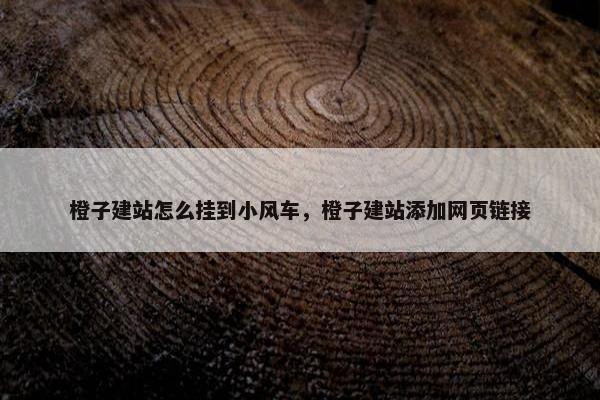 橙子建站怎么挂到小风车，橙子建站添加网页链接
