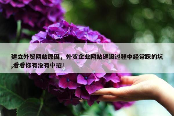 建立外贸网站原因，外贸企业网站建设过程中经常踩的坑,看看你有没有中招!