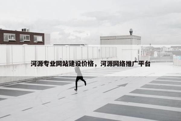 河源专业网站建设价格，河源网络推广平台