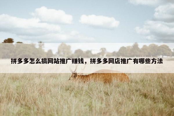 拼多多怎么搞网站推广赚钱，拼多多网店推广有哪些方法