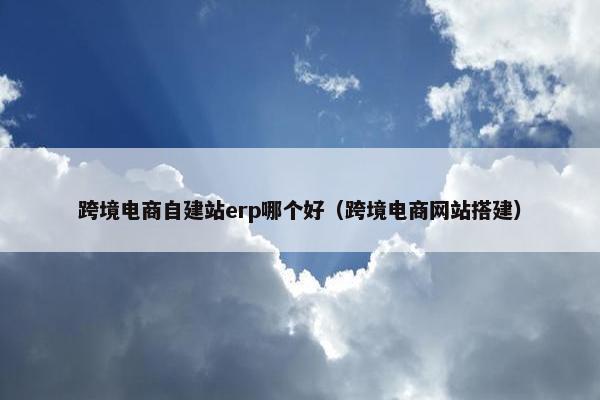 跨境电商自建站erp哪个好（跨境电商网站搭建）