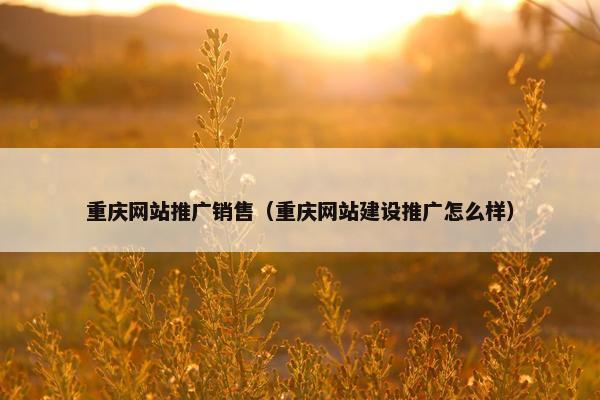重庆网站推广销售（重庆网站建设推广怎么样）