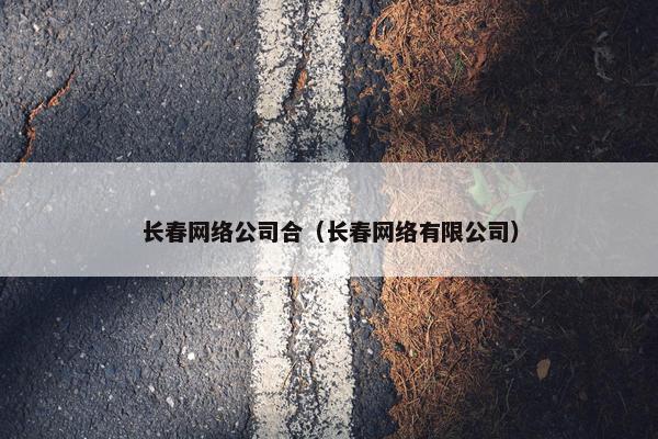 长春网络公司合（长春网络有限公司）