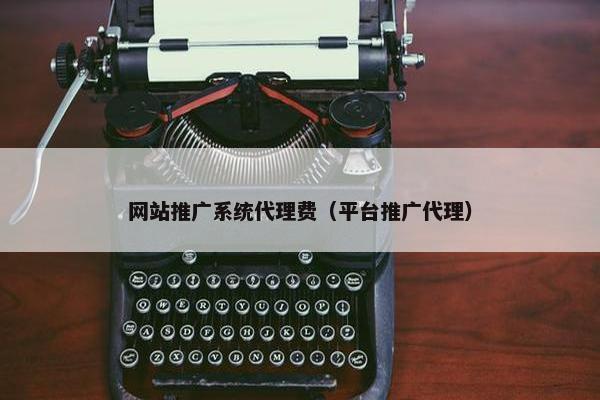 网站推广系统代理费（平台推广代理）