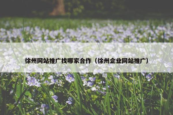 徐州网站推广找哪家合作（徐州企业网站推广）