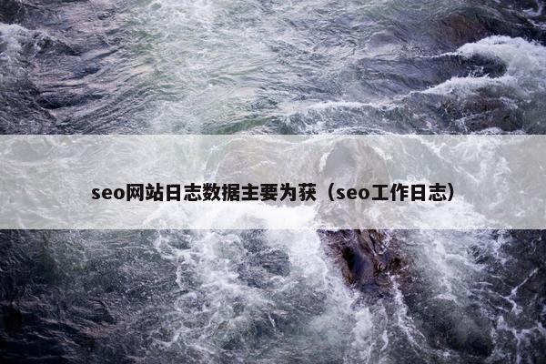 seo网站日志数据主要为获（seo工作日志）