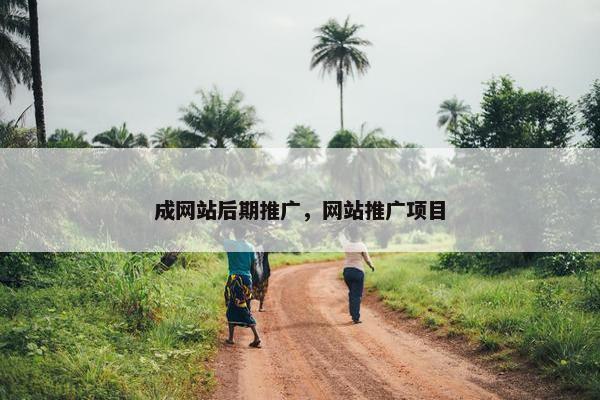 成网站后期推广，网站推广项目