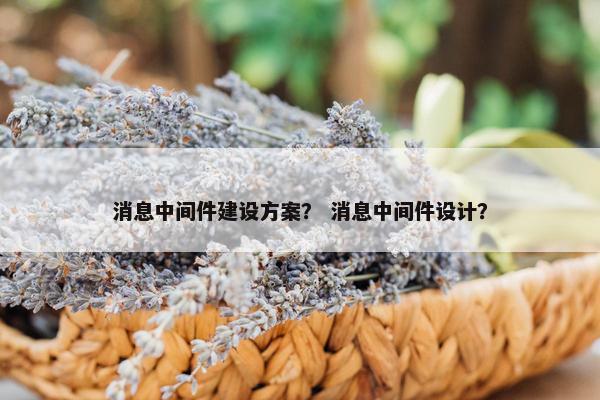 消息中间件建设方案？ 消息中间件设计？