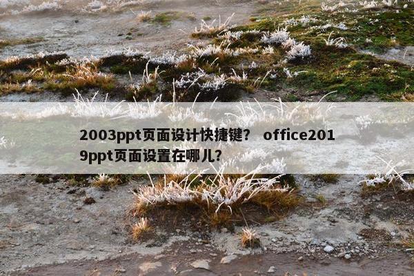2003ppt页面设计快捷键？ office2019ppt页面设置在哪儿？