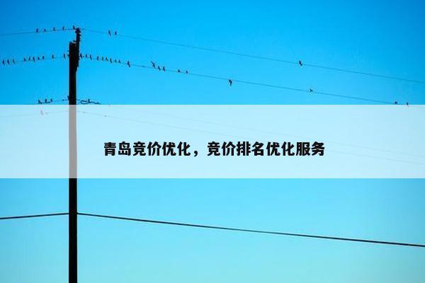 青岛竞价优化，竞价排名优化服务