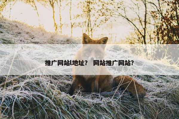 推广网站l地址？ 网站推广网站？