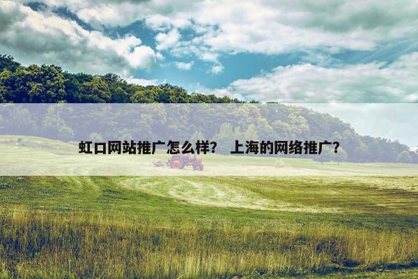 虹口网站推广怎么样？ 上海的网络推广？