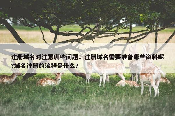 注册域名时注意哪些问题，注册域名需要准备哪些资料呢?域名注册的流程是什么?