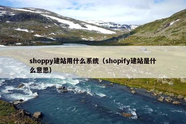 shoppy建站用什么系统（shopify建站是什么意思）
