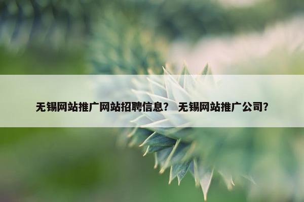 无锡网站推广网站招聘信息？ 无锡网站推广公司？