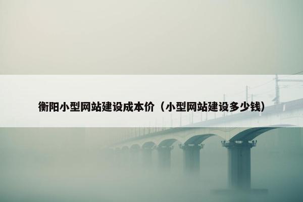 衡阳小型网站建设成本价（小型网站建设多少钱）