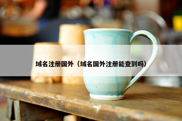 域名注册国外（域名国外注册能查到吗）