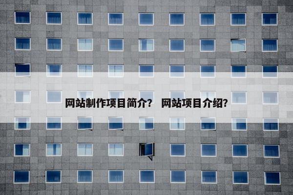 网站制作项目简介？ 网站项目介绍？