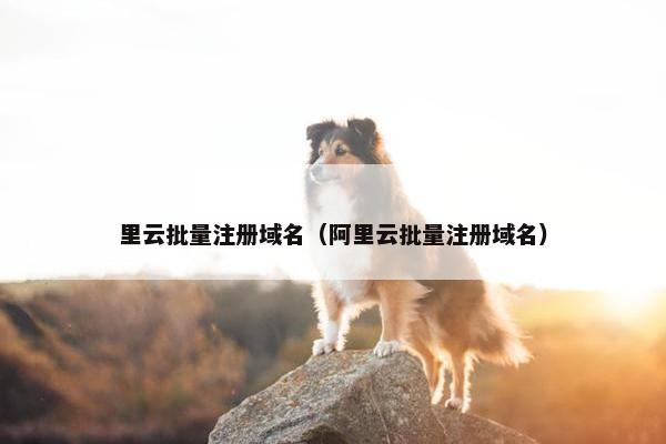 里云批量注册域名（阿里云批量注册域名）