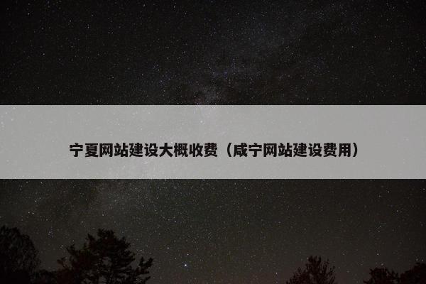 宁夏网站建设大概收费（咸宁网站建设费用）