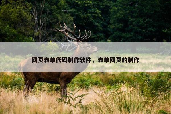 网页表单代码制作软件，表单网页的制作