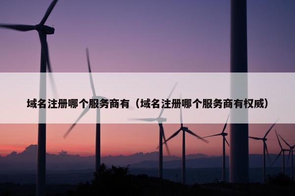 域名注册哪个服务商有（域名注册哪个服务商有权威）