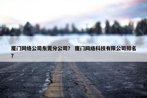 厦门网络公司东莞分公司？ 厦门网络科技有限公司排名？