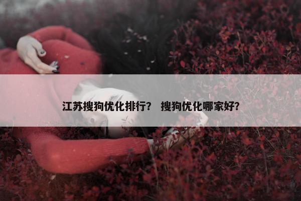 江苏搜狗优化排行？ 搜狗优化哪家好？