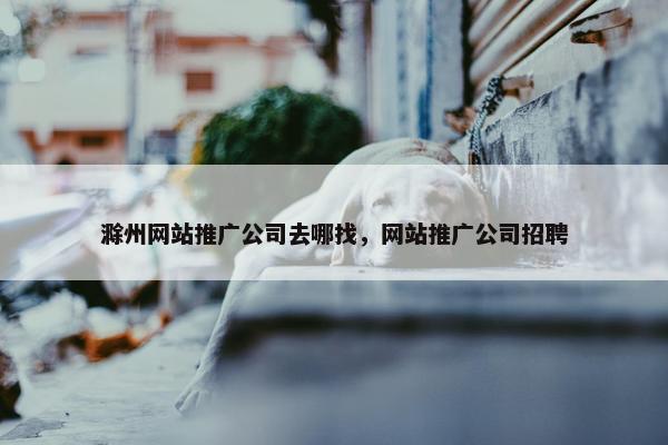 滁州网站推广公司去哪找，网站推广公司招聘