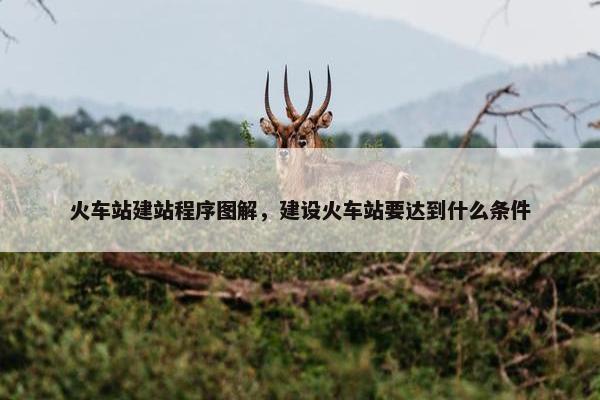 火车站建站程序图解，建设火车站要达到什么条件
