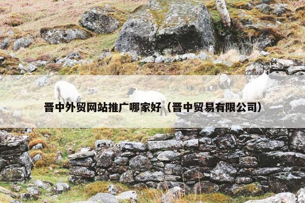 晋中外贸网站推广哪家好（晋中贸易有限公司）
