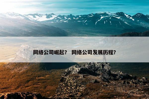 网络公司崛起？ 网络公司发展历程？