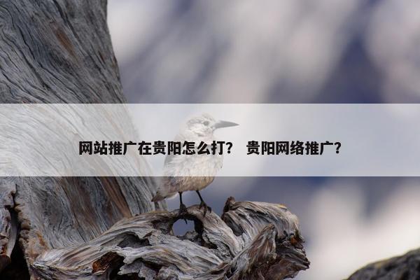 网站推广在贵阳怎么打？ 贵阳网络推广？
