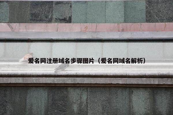 爱名网注册域名步骤图片（爱名网域名解析）