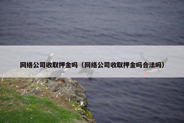 网络公司收取押金吗（网络公司收取押金吗合法吗）