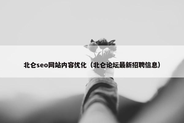 北仑seo网站内容优化（北仑论坛最新招聘信息）